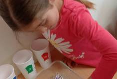 IMG_20250423_095248