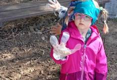 IMG_20250422_102345