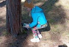 IMG_20250422_102426
