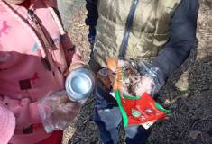 IMG_20250422_102521