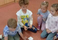 IMG_20251009_095615