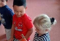 IMG_20251014_093043
