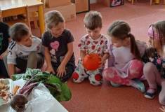 IMG_20251014_093126