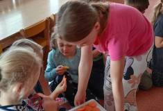 IMG_20251014_093324