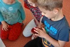 IMG_20251014_094138
