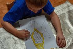 IMG_20251016_073325