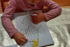 IMG_20251016_080319