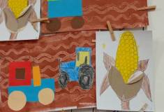 IMG_20251017_060551