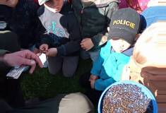 IMG_20230525_094219