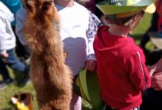 IMG_20230525_105251