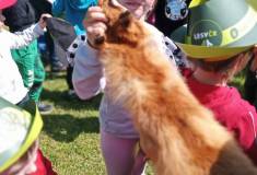 IMG_20230525_105254