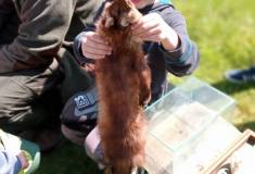 IMG_20230525_105344