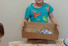 IMG_20250205_080302