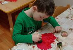 IMG_20250206_082747