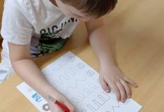 IMG_20250206_094133