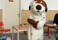 IMG_20241113_092331