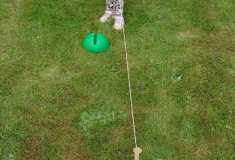 IMG-20250530-WA0040