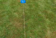 IMG-20250530-WA0042