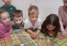 IMG_20230329_094655