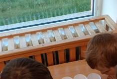 IMG_20260422_070832