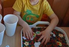 IMG_20260423_074246