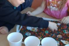 IMG_20260423_081813
