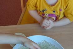 IMG_20260423_084742