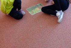 IMG_20260424_094142