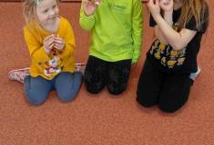 IMG_20260424_094755