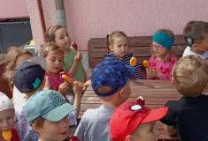 IMG_20250530_110608