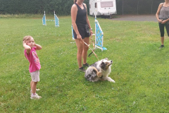 Děti na tréninku agility