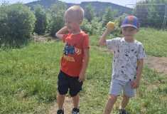 IMG-20260602-WA0011