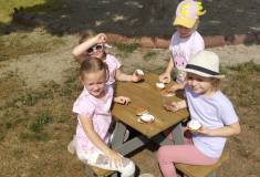 IMG_20260602_101406