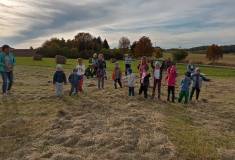 IMG_20211020_155320
