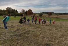 IMG_20211020_155620