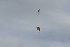 IMG_20211020_161306
