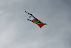 IMG_20211020_161319
