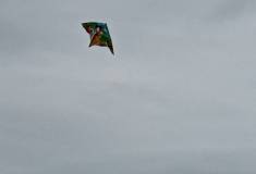 IMG_20211020_161401