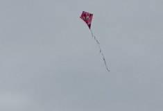 IMG_20211020_161450