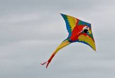 IMG_20211020_161457