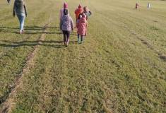 IMG_20221025_105642