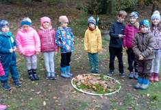 IMG_20241024_164358