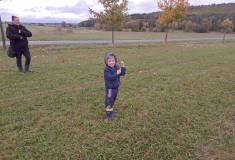 IMG_20221024_162531