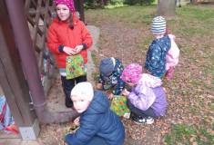 IMG_20221024_170300