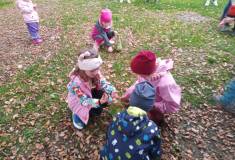 IMG_20221024_170439