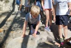 IMG_20230629_095140