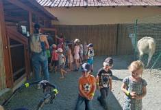 IMG_20230629_092709