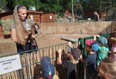 IMG_20230629_093200
