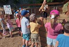 IMG_20230629_093243