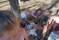 IMG_20230629_094322
